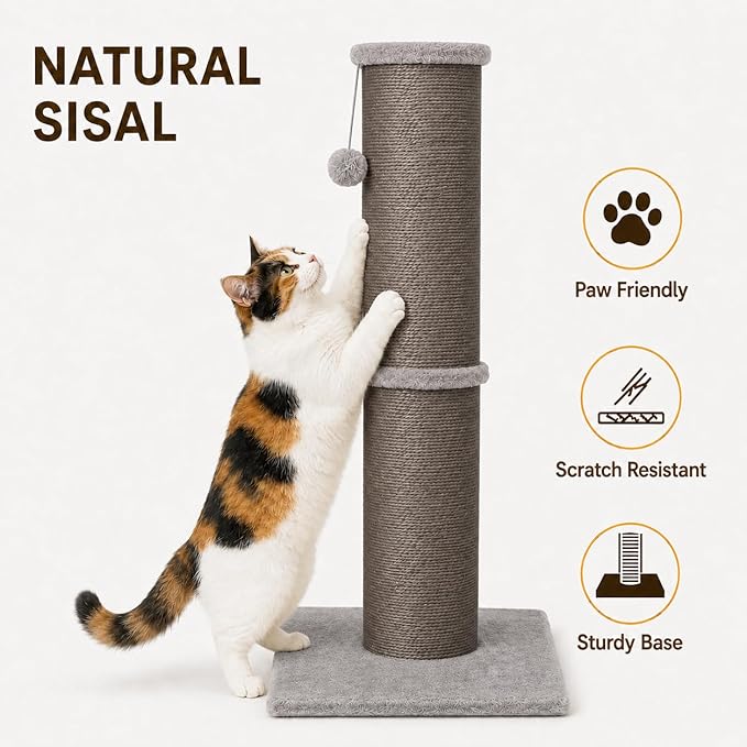 PAWSCRAT Cat Scratching Post 32 Inch High, 5.5 Inch Large Diameter Natural - Image 3