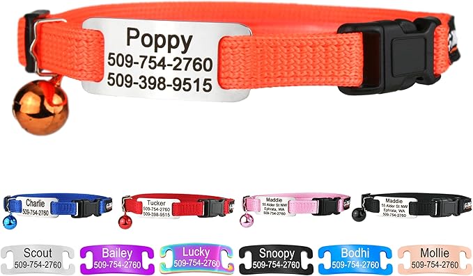GoTags Personalized Cat Collars by GoTags