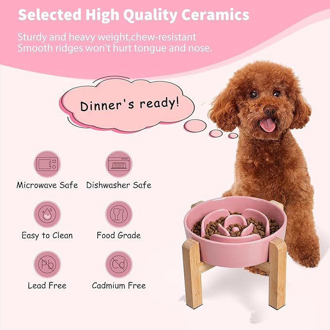 Elevated Slow Feeder Dog Bowl - Image 5