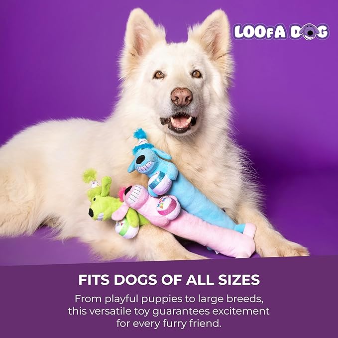 Multipet Loofa Dog Plush Toy w/ Birthday Hat - Image 7