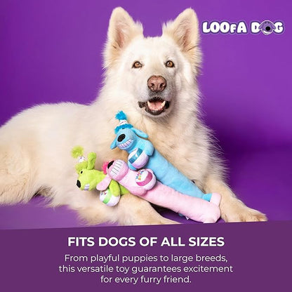 Multipet Loofa Dog Plush Toy w/ Birthday Hat - Image 7