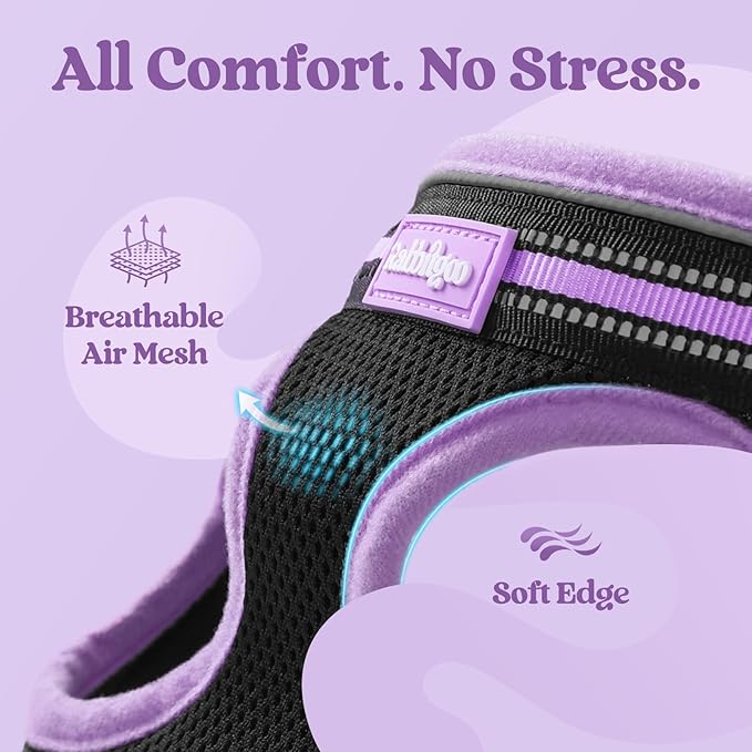 rabbitgoo Cat Harness and Leash, Step-in Escape Proof Kitten Harness Set - Image 7