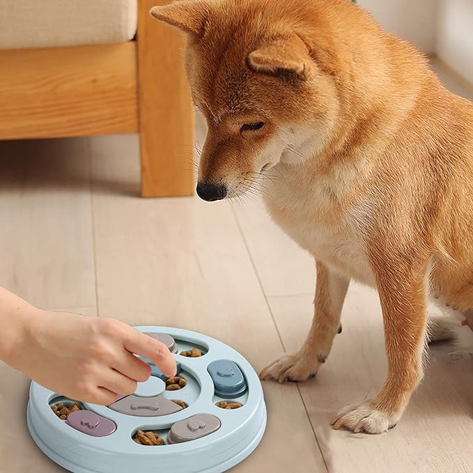 DR CATCH Dog Puzzle, Dogs Food Toys - Image 5