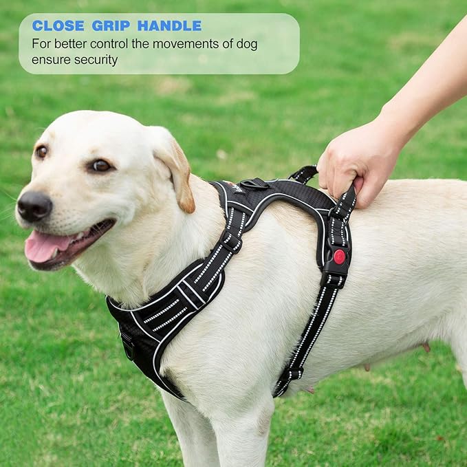 tobeDRI No Pull Dog Harness Adjustable Reflective Oxford Easy Control Medium - Image 5
