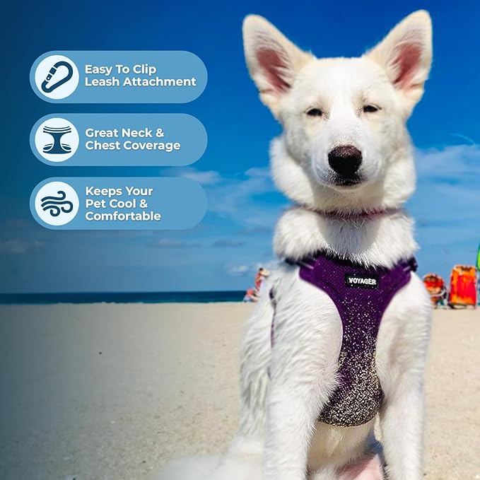 Best Pet Supplies Voyager Adjustable Step-in Flex Breathable Mesh Dog Harness - Image 5