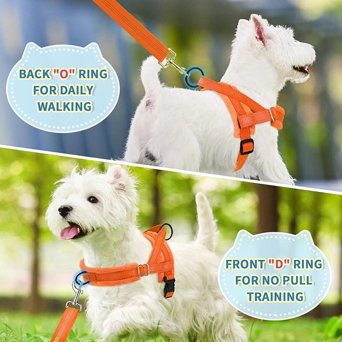 Lukovee No Pull Dog Harness and Leash Set, Soft Padded Small Dog Harness - Image 7