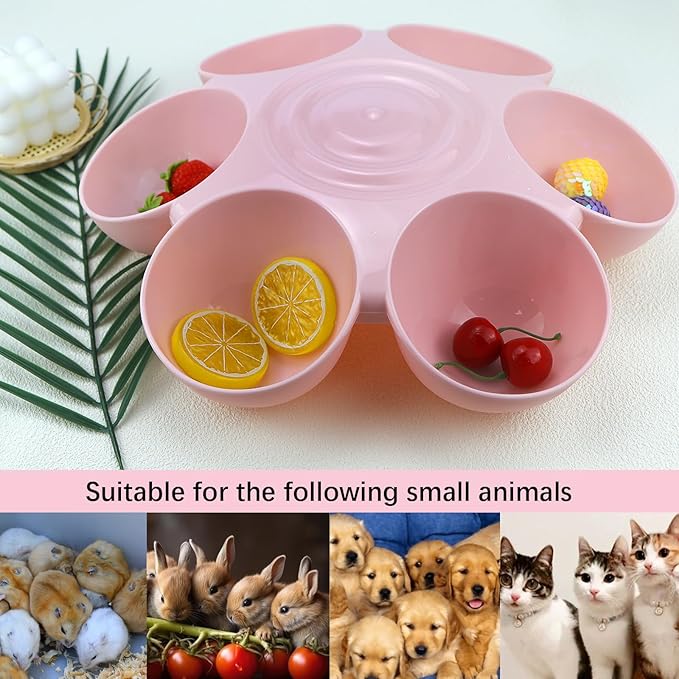 DOERDO Cat Feeding Bowl, Plastic Cat and Dog Food Bowl - Image 6