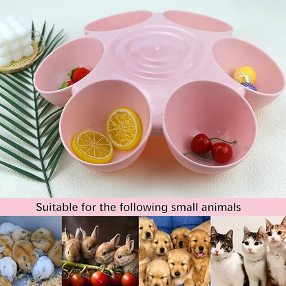 DOERDO Cat Feeding Bowl, Plastic Cat and Dog Food Bowl - Image 6