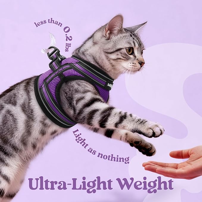 rabbitgoo Cat Harness and Leash, Step-in Escape Proof Kitten Harness Set - Image 6