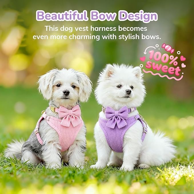 Small Dog Collar Harness and Leash Set - Image 8