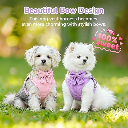Small Dog Collar Harness and Leash Set - Image 8