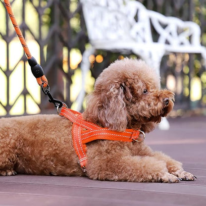 Plutus Pet No Pull Dog Harness - Image 5