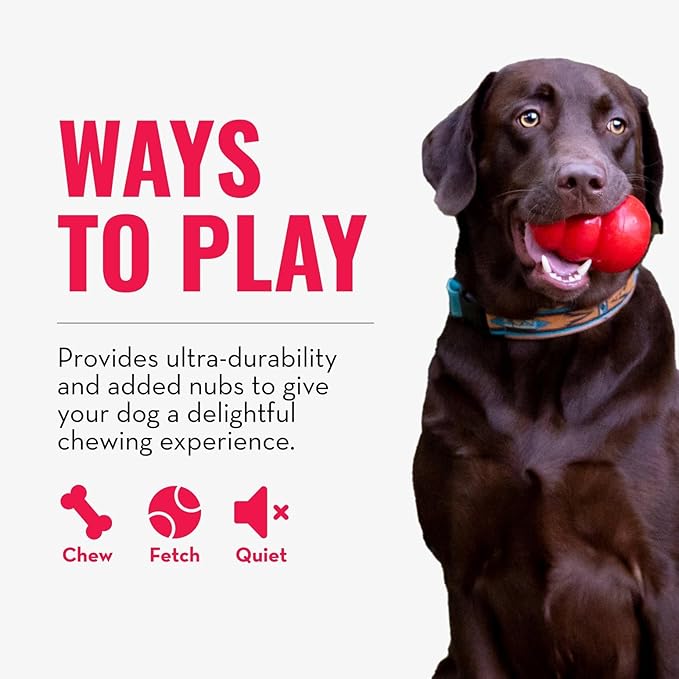 KONG Ring - Natural Rubber Ring Toy - Image 5