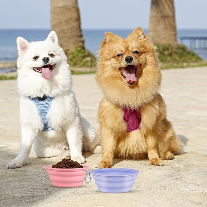 Kytely Collapsible Dog Bowls for Travel, Foldable Pet Food Bowl - Image 7