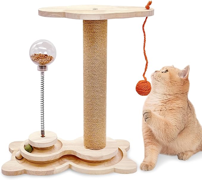 Fhiny Cat Scratching Posts, Interactive Cat Toys by Fhiny