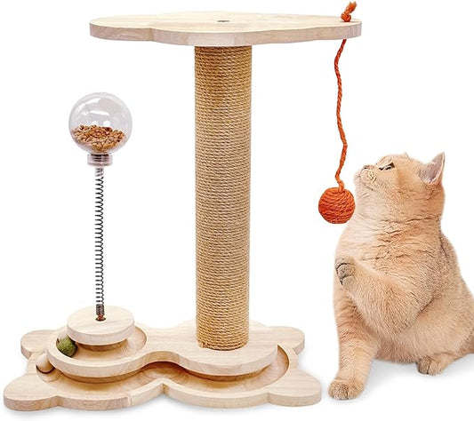 Fhiny Cat Scratching Posts, Interactive Cat Toys by Fhiny