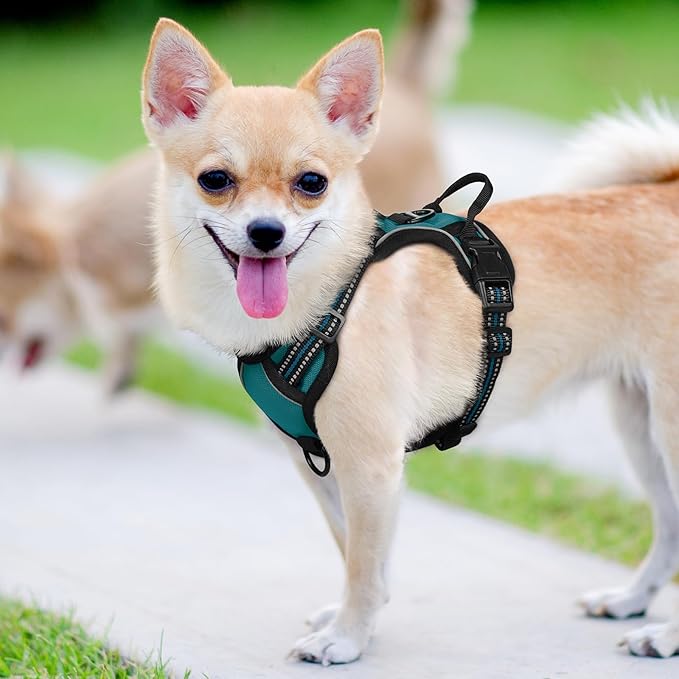 rabbitgoo Dog Harness No Pull - Image 8