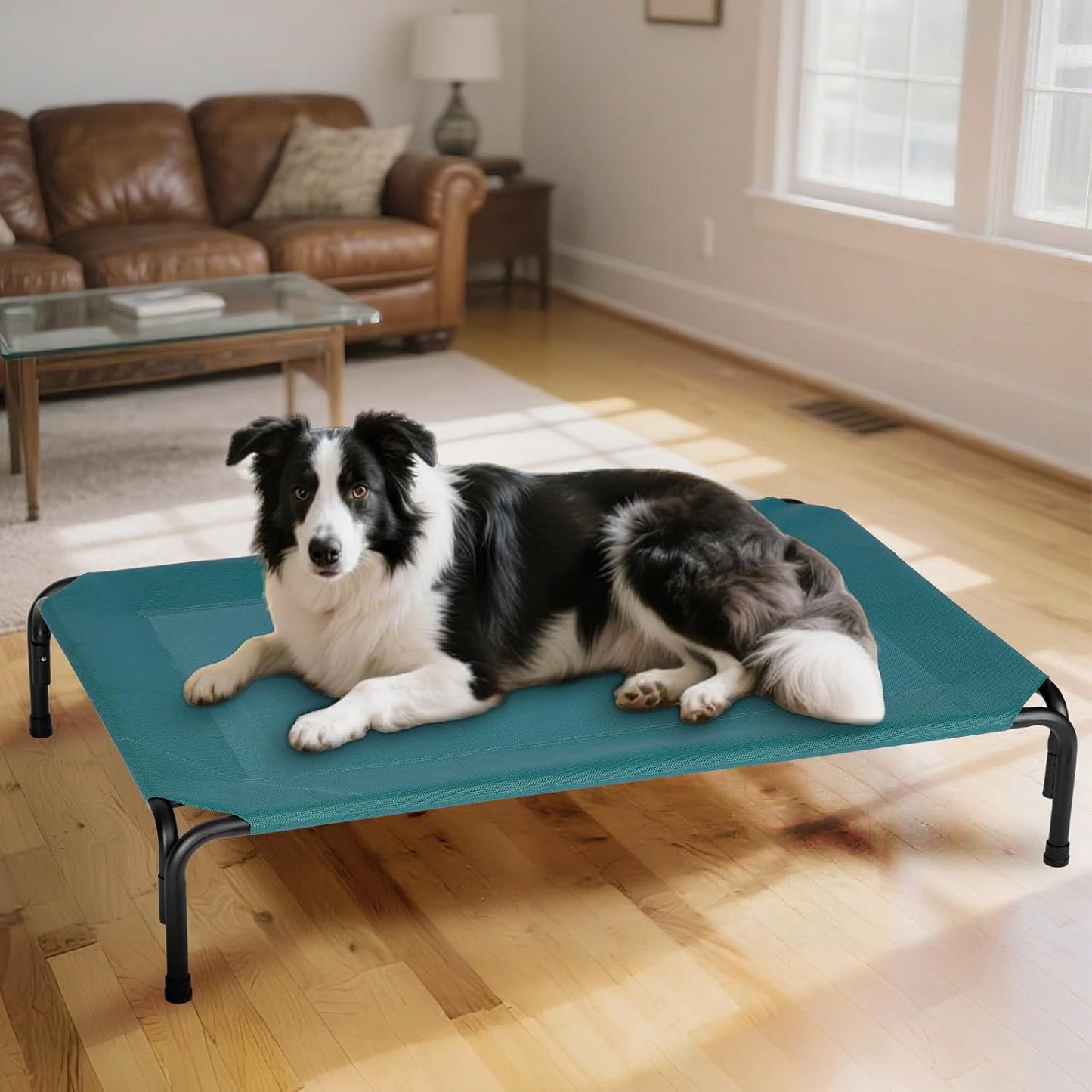 Elevated Dog Bed for Outdoor, Large Raised Dogs Cot for Training, Cooling Pet Beds with Washable Mesh, Indestructible Lifted Platform for Outside Camping, 41 inch Green