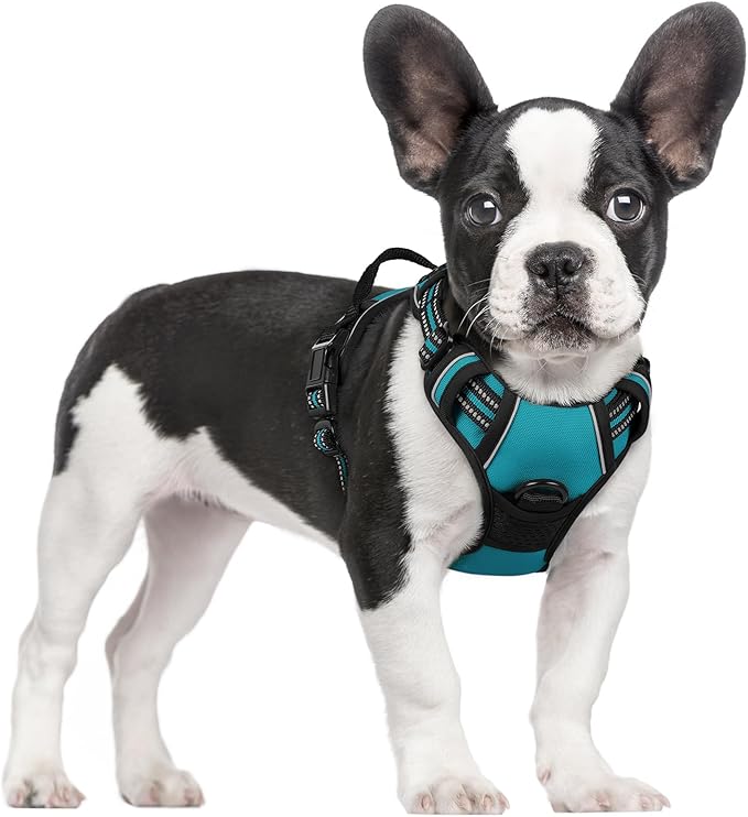 rabbitgoo Dog Harness No Pull by rabbitgoo