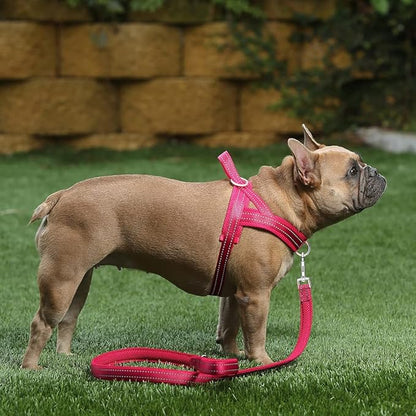 Plutus Pet No Pull Dog Harness - Image 5