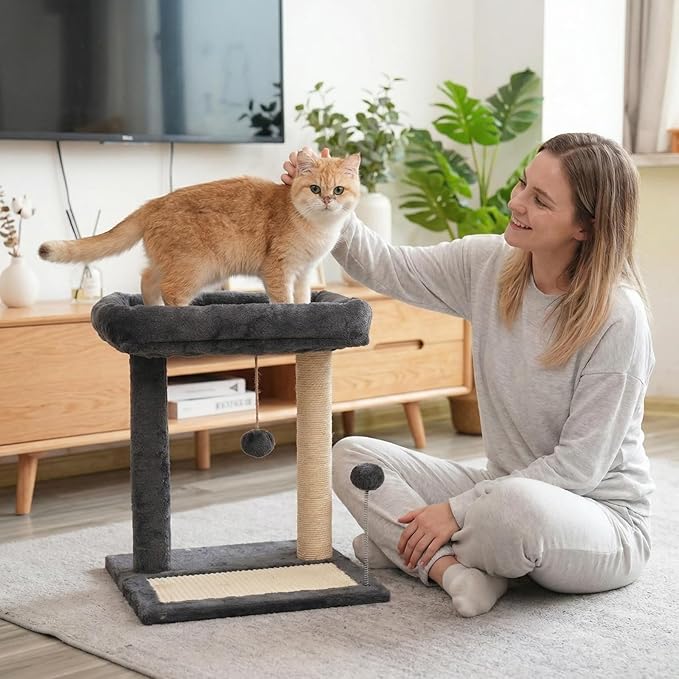 Cat Scratching Post, 19.69" H Cat Tree - Image 9