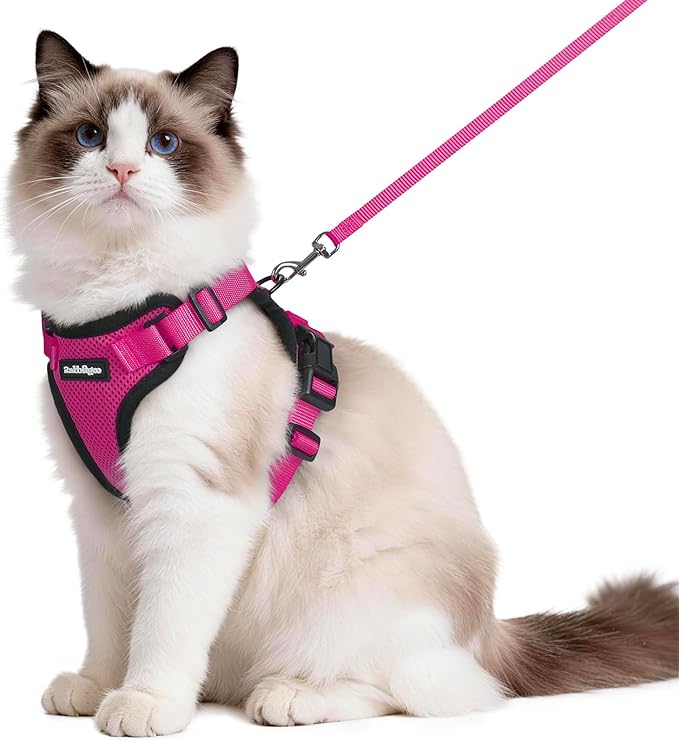 rabbitgoo Cat Harness and Leash Set, Escape Proof Vest Harness by rabbitgoo