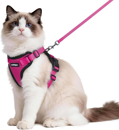 rabbitgoo Cat Harness and Leash Set, Escape Proof Vest Harness by rabbitgoo