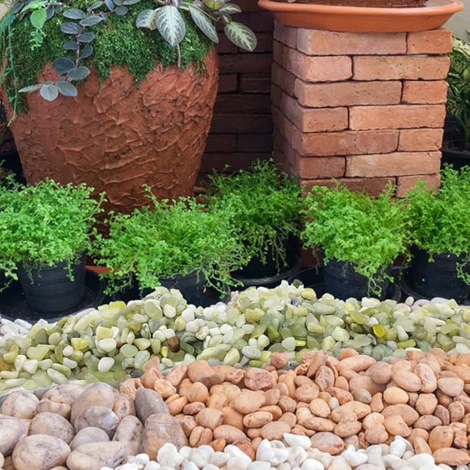 YISZM 5LB Succulent and Cactus Pebbles, 1/5 Inch Jade Natural Decorative - Image 6