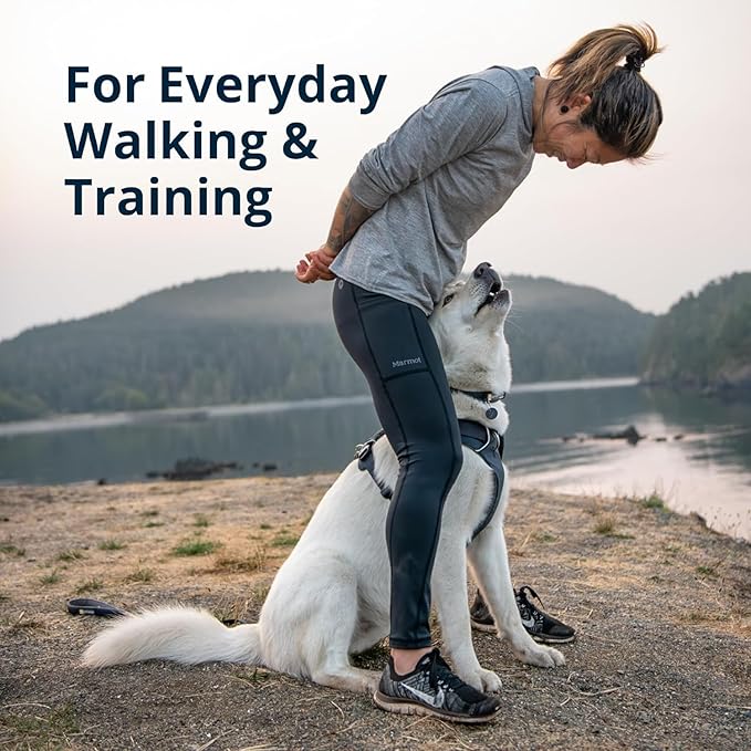 Ruffwear, Front Range Dog Harness, Reflective Soft Padded Everyday Harness - Image 3