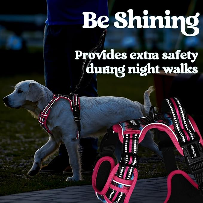 rabbitgoo Dog Harness Small Sized, No Pull Easy On & Off - Image 9