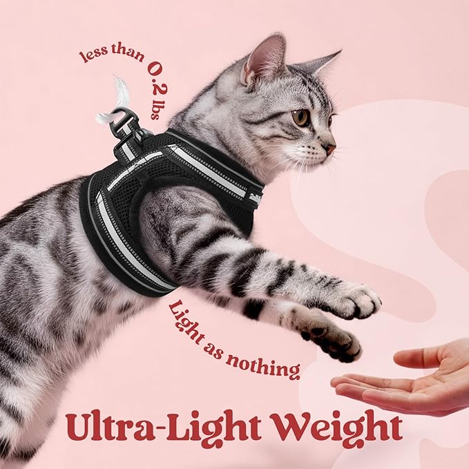 rabbitgoo Cat Harness and Leash, Step-in Escape Proof Kitten Harness Set - Image 5