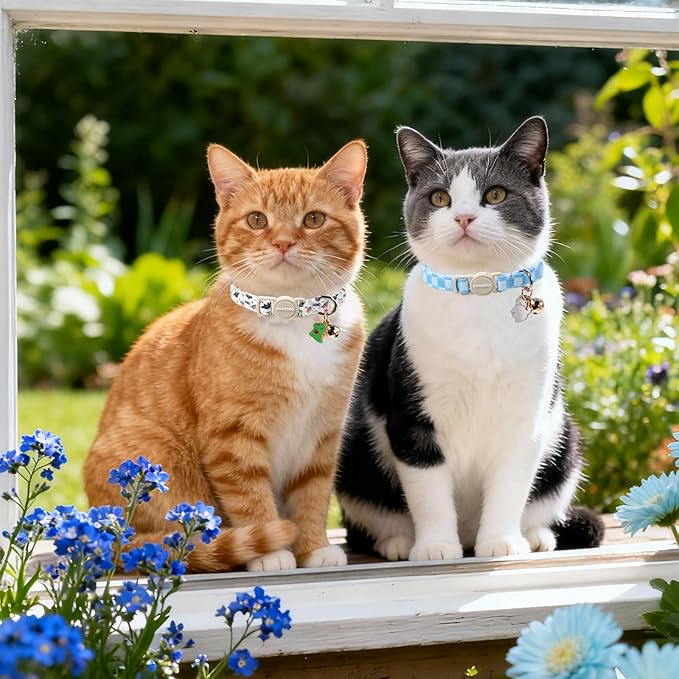 2 Pack Dinosaur Cat Collars Breakaway - Image 4