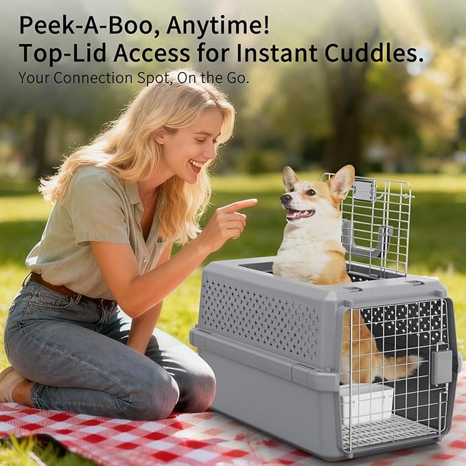 RIZZARI Pets Spree Hard-Sided Pet Travel Carrier, Portable Crate - Image 6