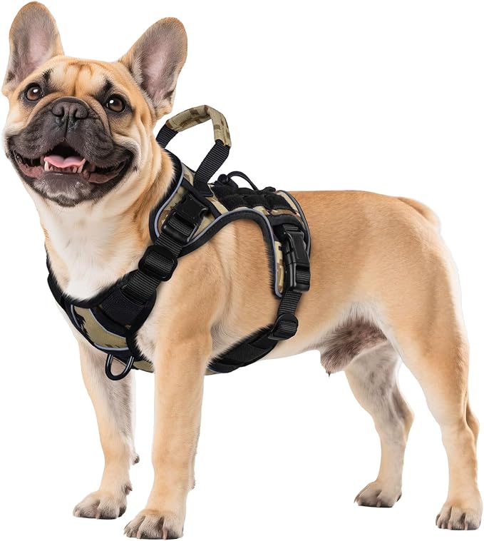 WINGOIN Tactical Dog Harness for Small Dogs, Heavy Duty No Pull Harness by WINGOIN