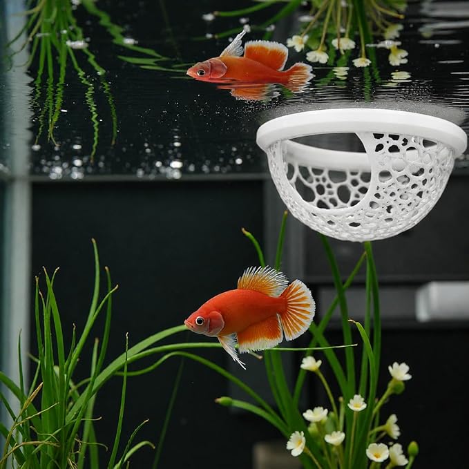 Floating Betta Fish Shrimp, Betta or Shrimp Feeder, Cave Hammock, Small Fish - Image 3