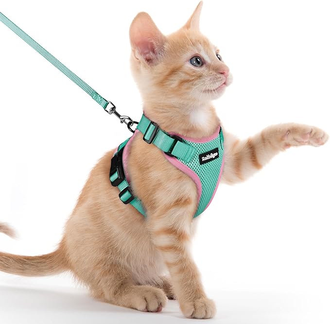 rabbitgoo Cat Harness and Leash Set, Escape Proof Kitten Harness by rabbitgoo
