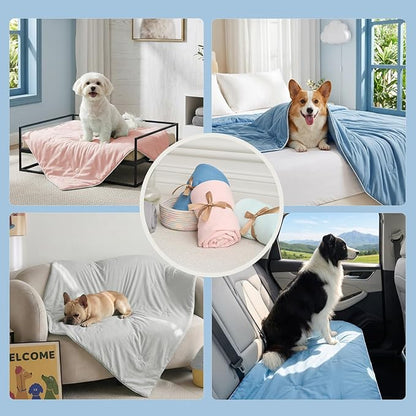 Soulbond Cooling Blanket for Medium Dogs - Image 6