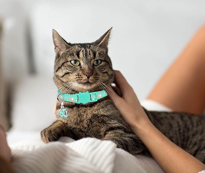 Baeuppit 2Pcs Breakaway Cats Collars Cat Collars - Image 7