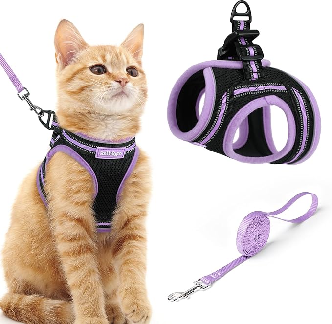 rabbitgoo Cat Harness and Leash, Step-in Escape Proof Kitten Harness Set by rabbitgoo
