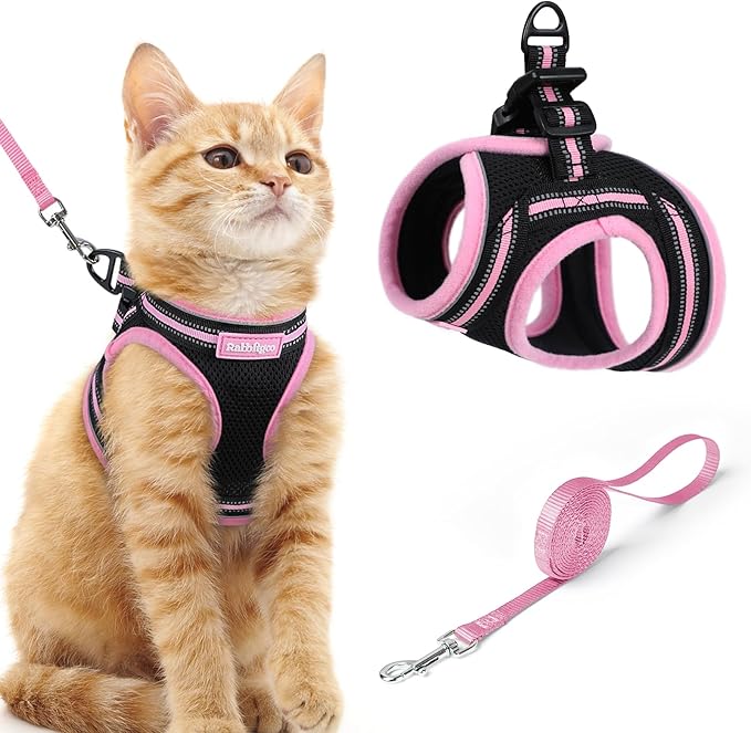 rabbitgoo Cat Harness and Leash, Step-in Escape Proof Kitten Harness Set by rabbitgoo