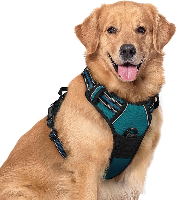 rabbitgoo Dog Harness No Pull by rabbitgoo