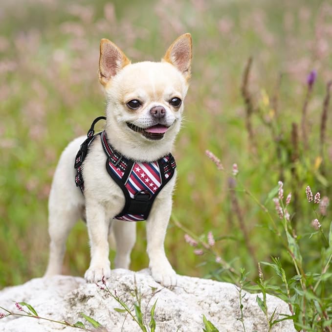 rabbitgoo Dog Harness No Pull - Image 8