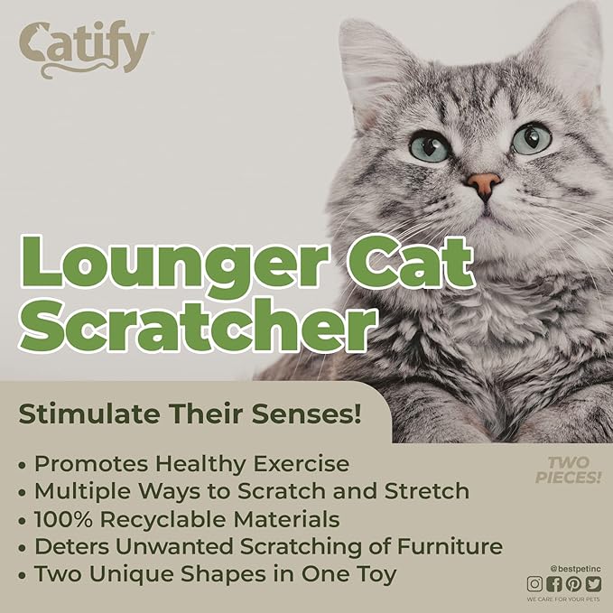 Best Pet Supplies Catify Cat Scratcher, Fun Interactive Scratchers, Claw Safe - Image 5