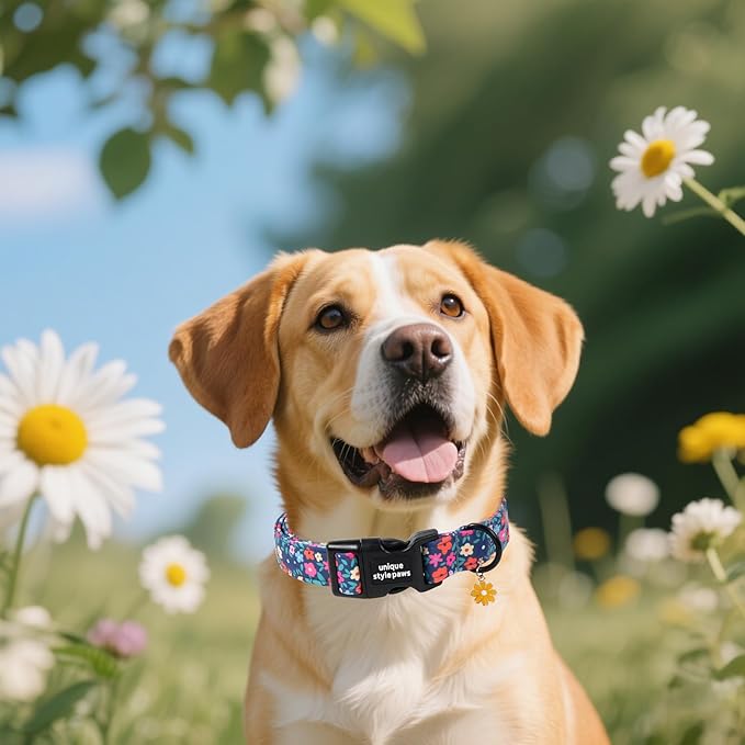 Unique style paws Dog Collar Plastic Buckle - Image 4