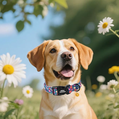 Unique style paws Dog Collar Plastic Buckle - Image 4