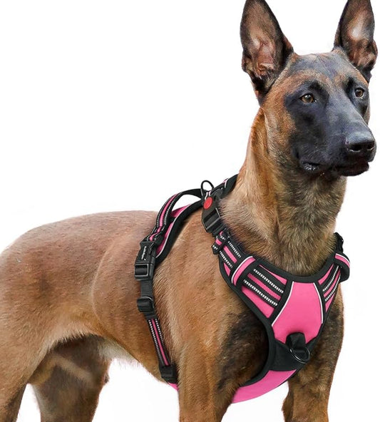 rabbitgoo Dog Harness for Large, No Pull Easy On & Off by rabbitgoo