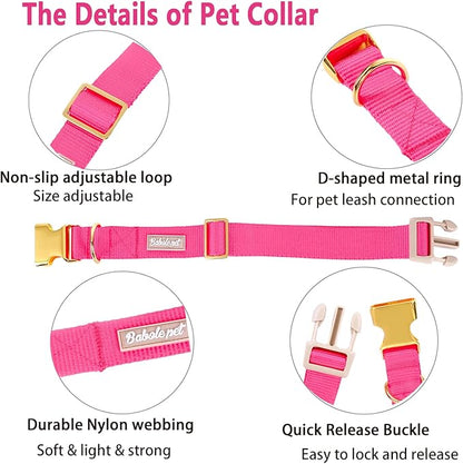 Nylon Dog Collar - Image 4