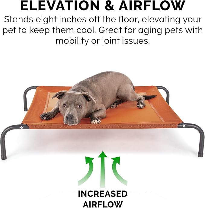 FurHaven Elevated Pet Cots - Image 7