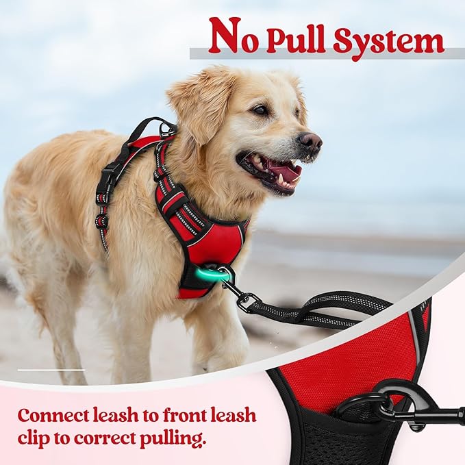 rabbitgoo Dog Harness, No-Pull Pet Harness - Image 5