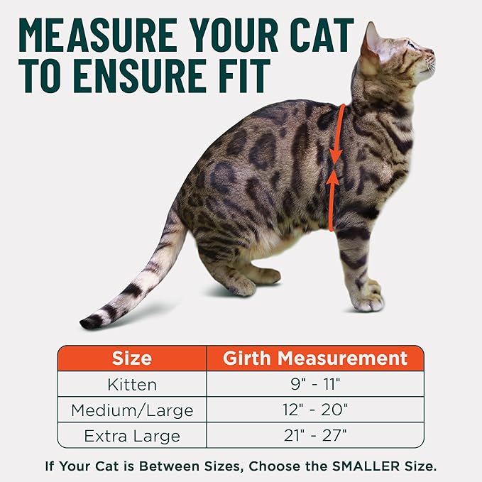 Houdini™ Escape Proof Kitten Harness and Leash Set by OutdoorBengal – Black - Image 5